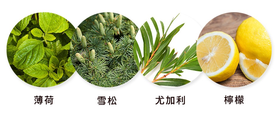 安淨保養(clean beauty) :100%純天然有機精油,複方組合療癒身心