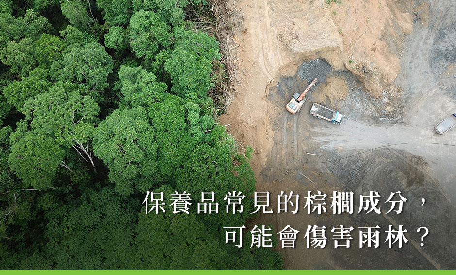 保養品常見的棕櫚成分，可能會傷害雨林？